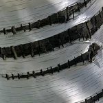 Rings of Time, Bark, Photo by Nancy Bolton-Rawles